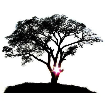 Centrum Terapii Poznawczo-Behawioralnej i Seksuologii mgr Bogusława Maria Błaszczyk